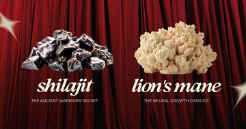Shilajit and Lion’s Mane: The Cognitive Power Duo for Women’s Brain Health